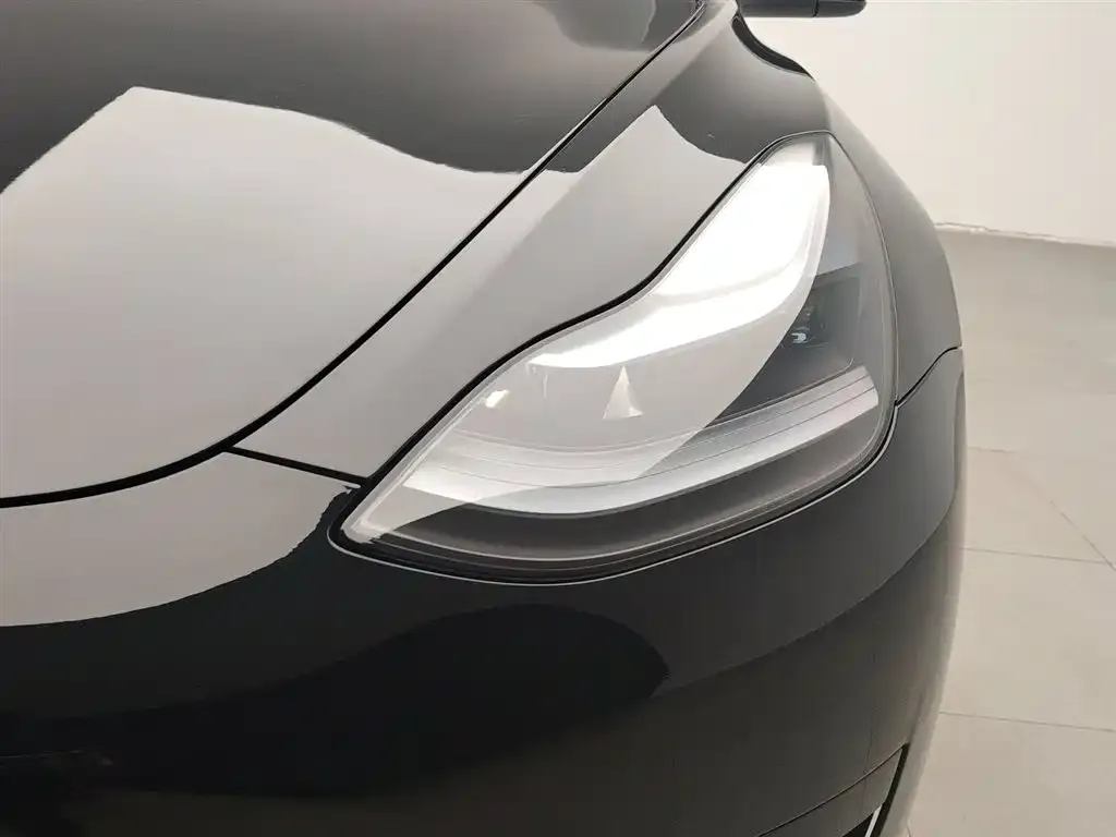 Tesla Model 3 2021 из CN, фото 5