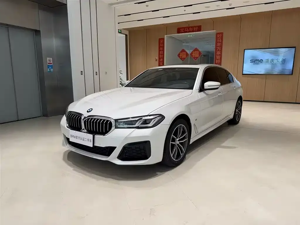 BMW 5 Series 2021 из CN, фото 1