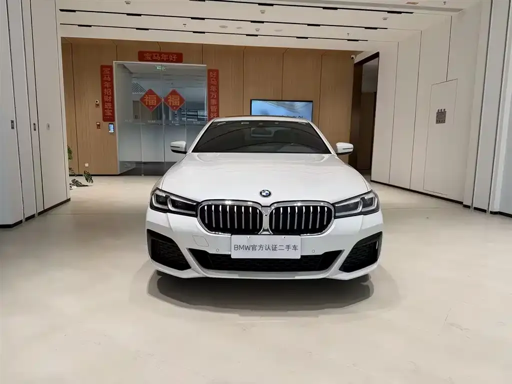 BMW 5 Series 2021 из CN, фото 5