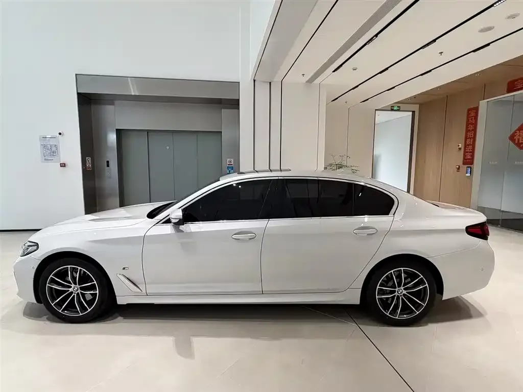 BMW 5 Series 2021 из CN, фото 7