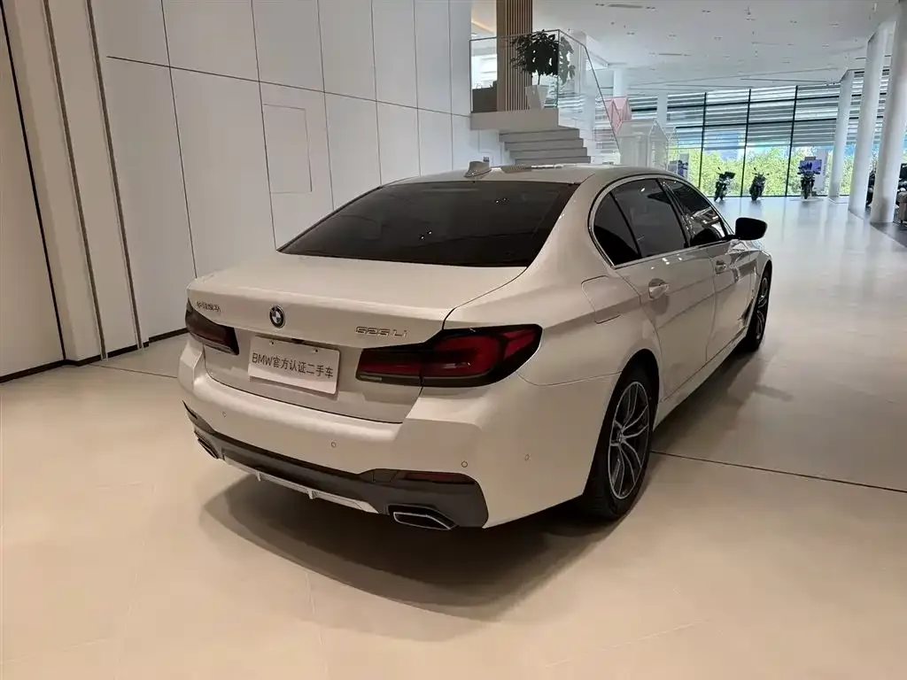 BMW 5 Series 2021 из CN, фото 3