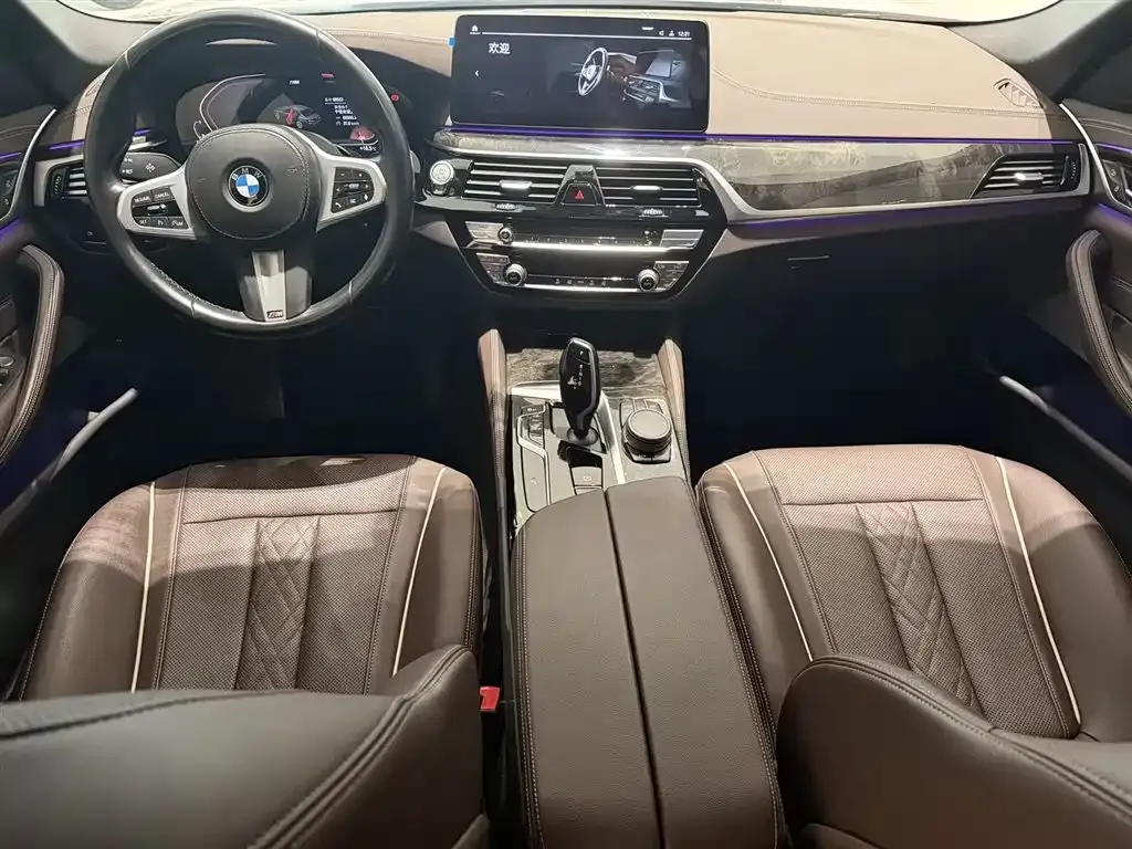 BMW 5 Series 2021 из CN, фото 9