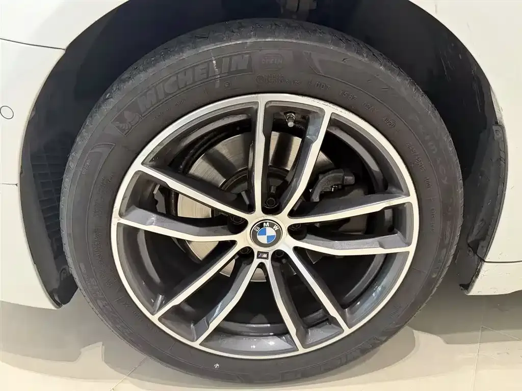BMW 5 Series 2021 из CN, фото 8