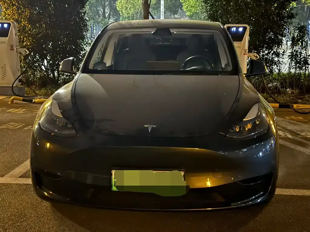 Tesla Model Y 2023 из CN, фото 6
