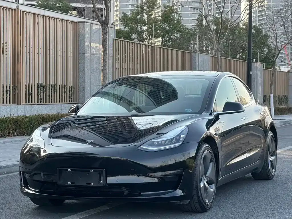 Tesla Model 3 2021 из CN, фото 1
