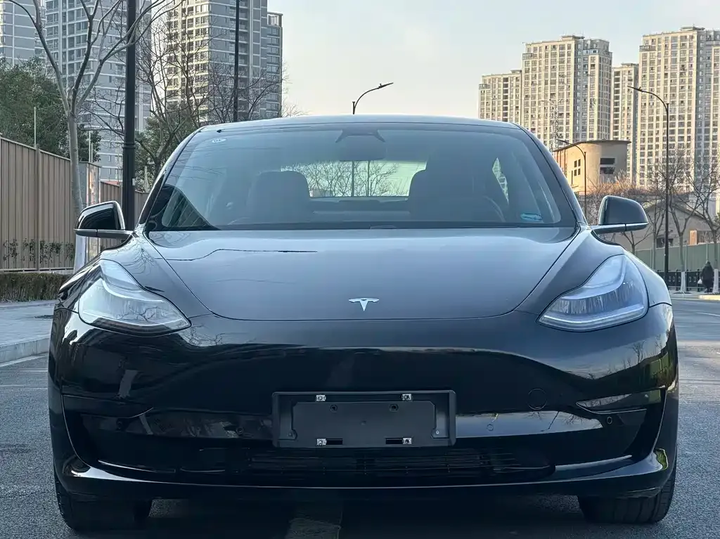 Tesla Model 3 2021 из CN, фото 4