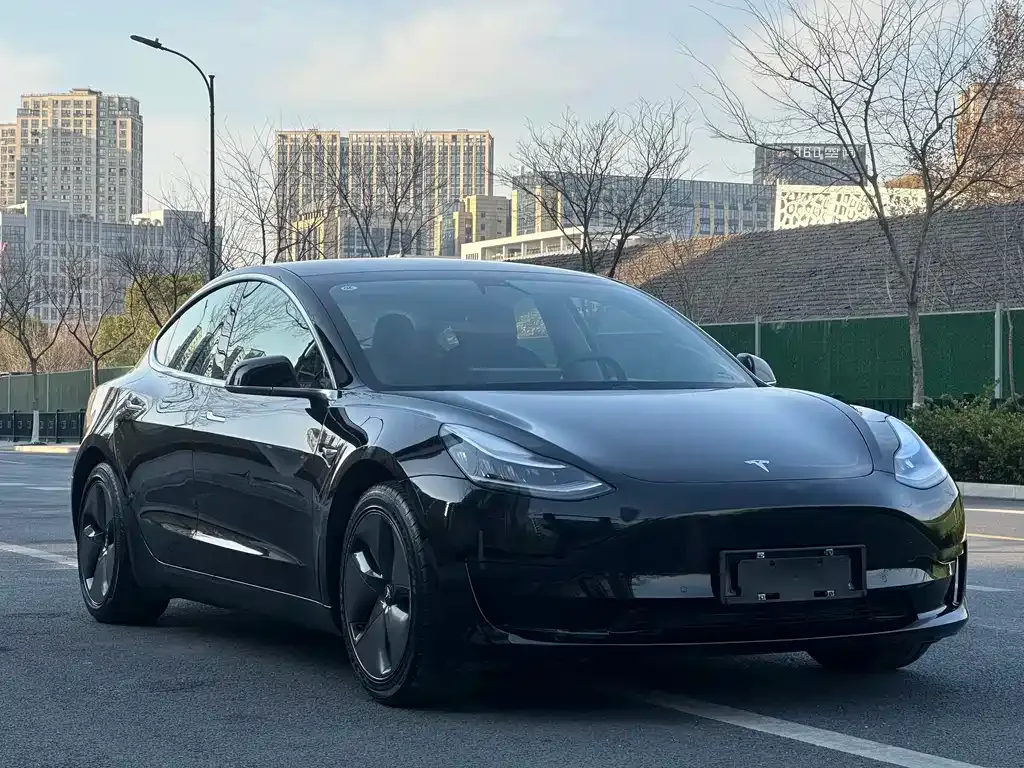 Tesla Model 3 2021 из CN, фото 5