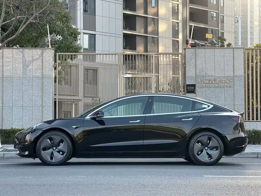 Tesla Model 3 2021 из CN, фото 3