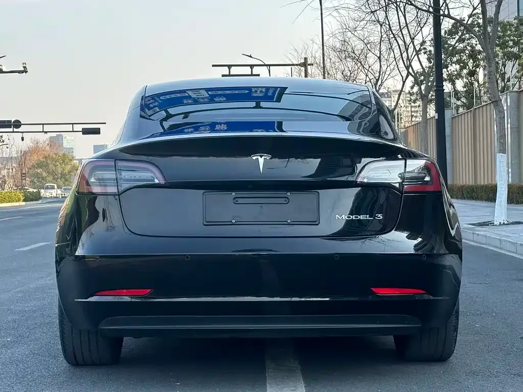 Tesla Model 3 2021 из CN, фото 6