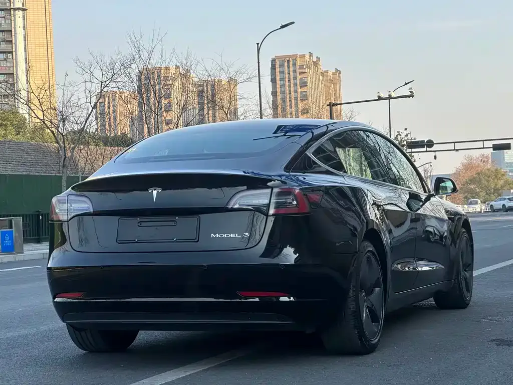 Tesla Model 3 2021 из CN, фото 9