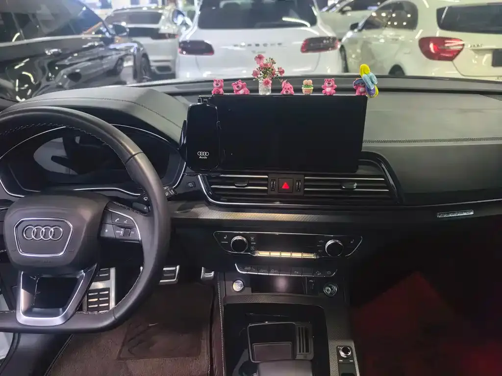 Audi Q5L 2024 из CN, фото 5