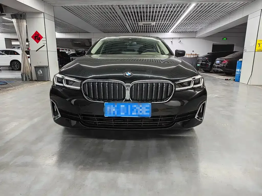 BMW 5 Series 2021 из CN, фото 2
