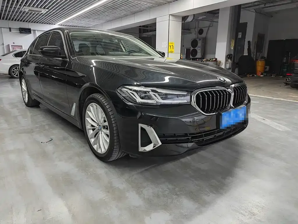 BMW 5 Series 2021 из CN, фото 4
