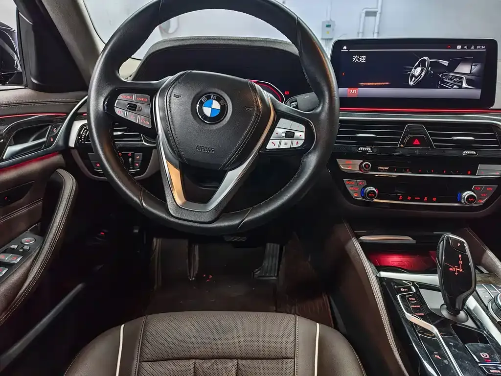 BMW 5 Series 2021 из CN, фото 10