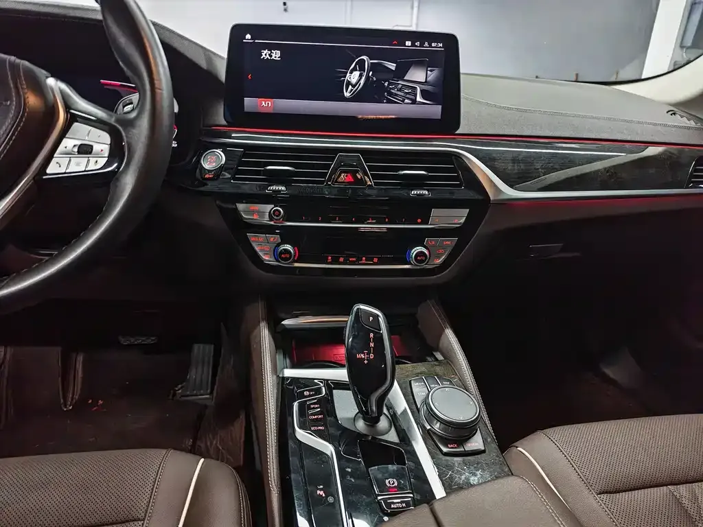 BMW 5 Series 2021 из CN, фото 7