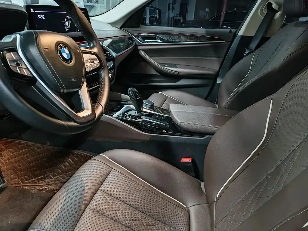 BMW 5 Series 2021 из CN, фото 9
