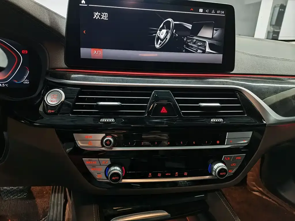 BMW 5 Series 2021 из CN, фото 8