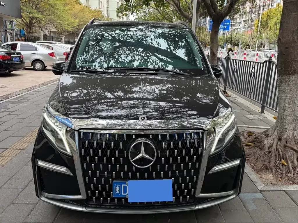 Mercedes-Benz V-Class 2022 из CN, фото 10