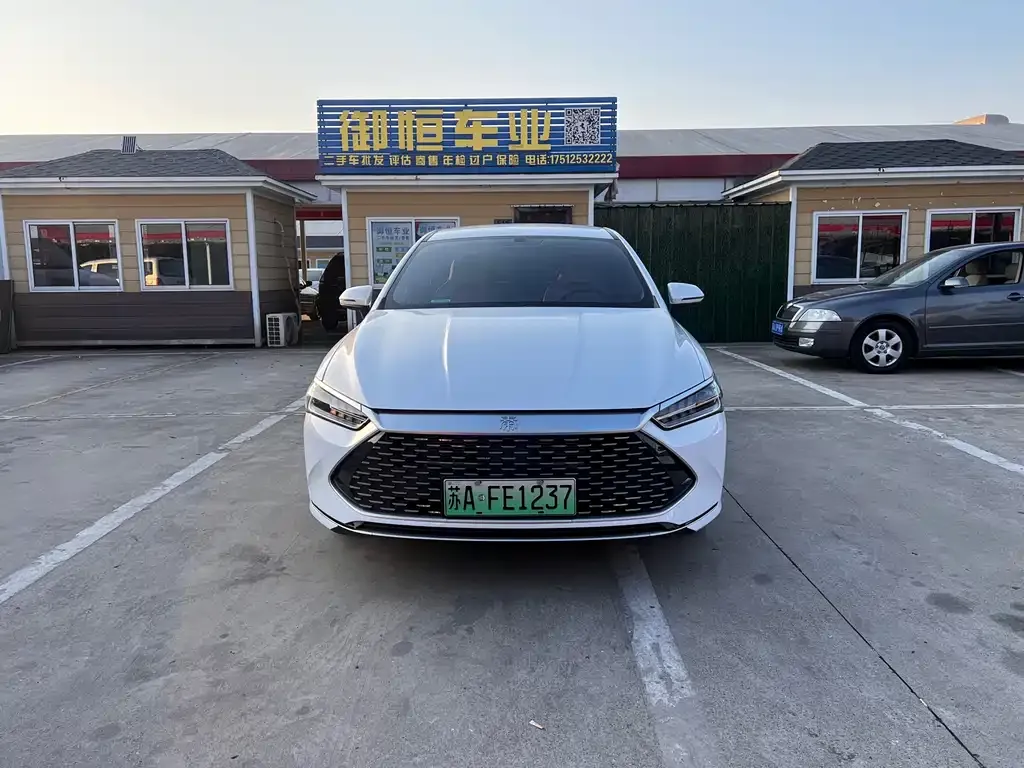 BYD Qin PLUS 2024 из CN, фото 1