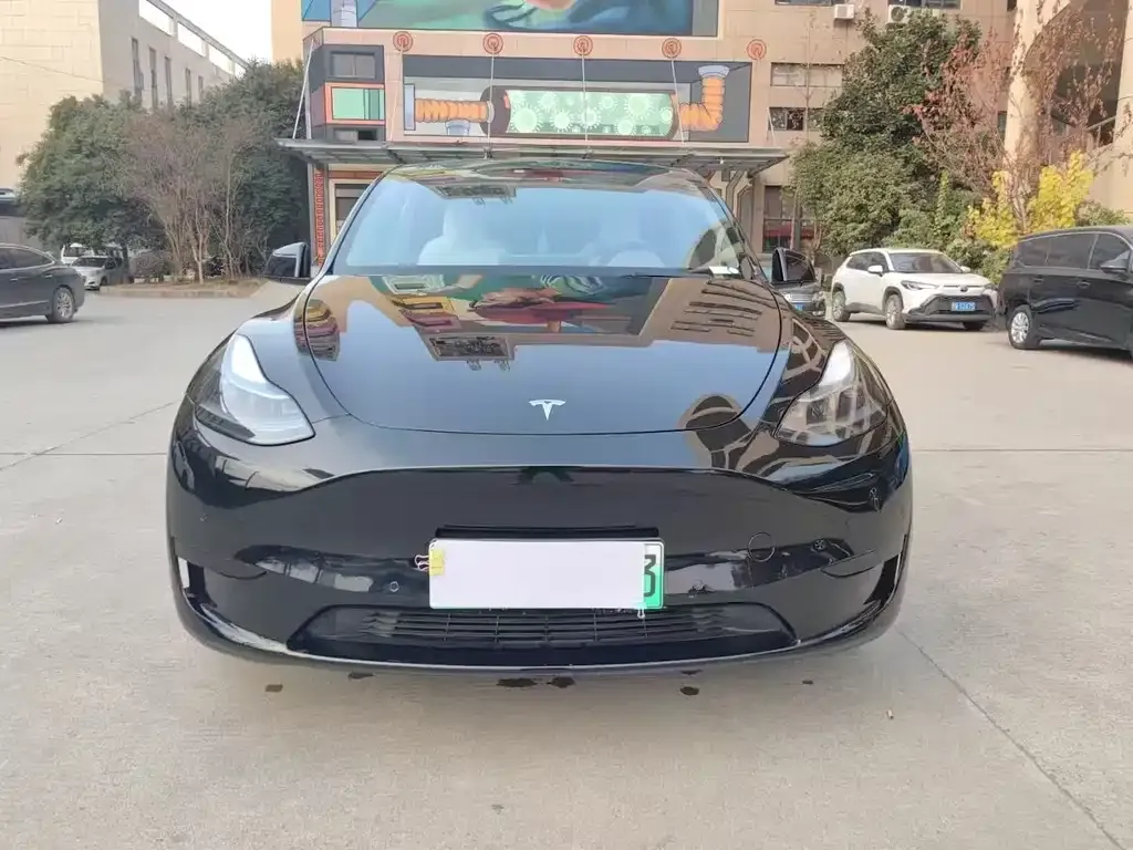 Tesla Model Y 2022 из CN, фото 4