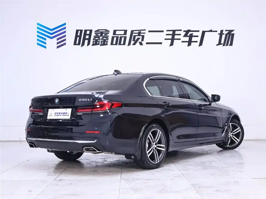 BMW 5 Series 2022 из CN, фото 7