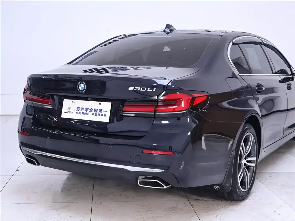 BMW 5 Series 2022 из CN, фото 8