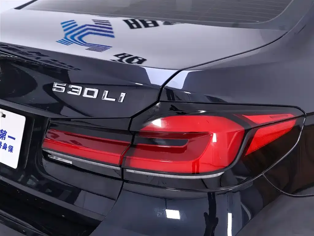 BMW 5 Series 2022 из CN, фото 4