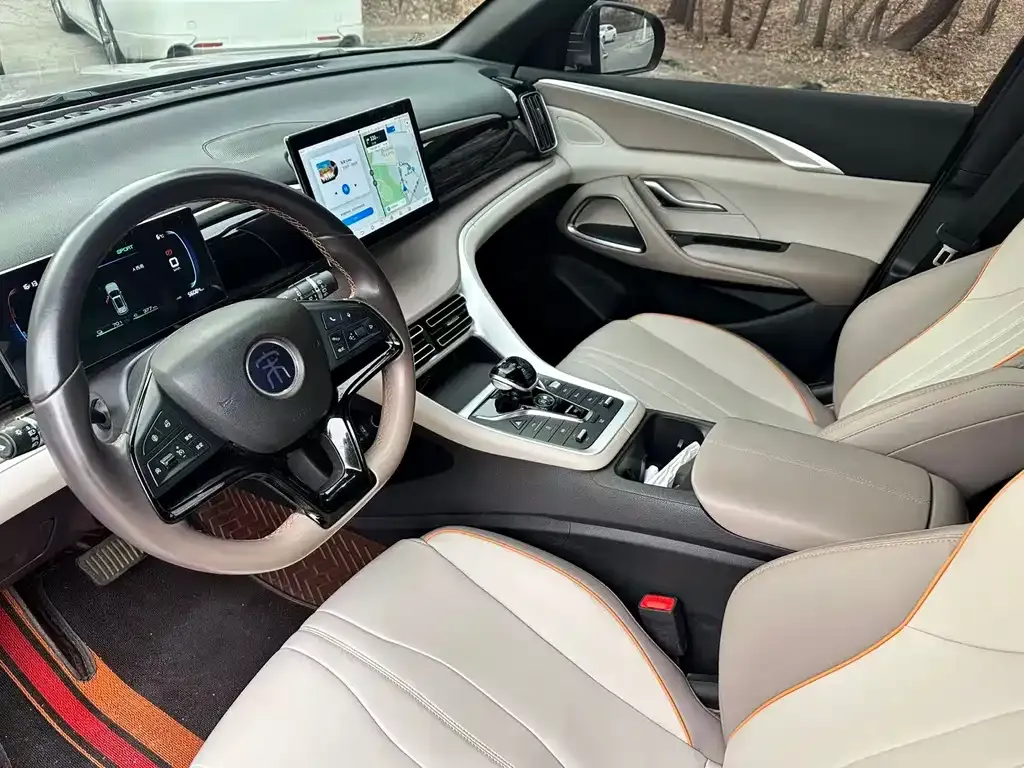 BYD Pro New Energy 2024 из CN, фото 2