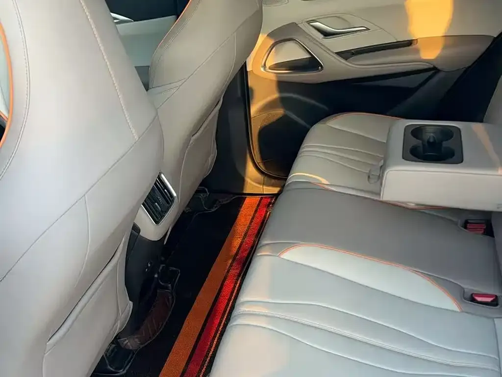 BYD Pro New Energy 2024 из CN, фото 3