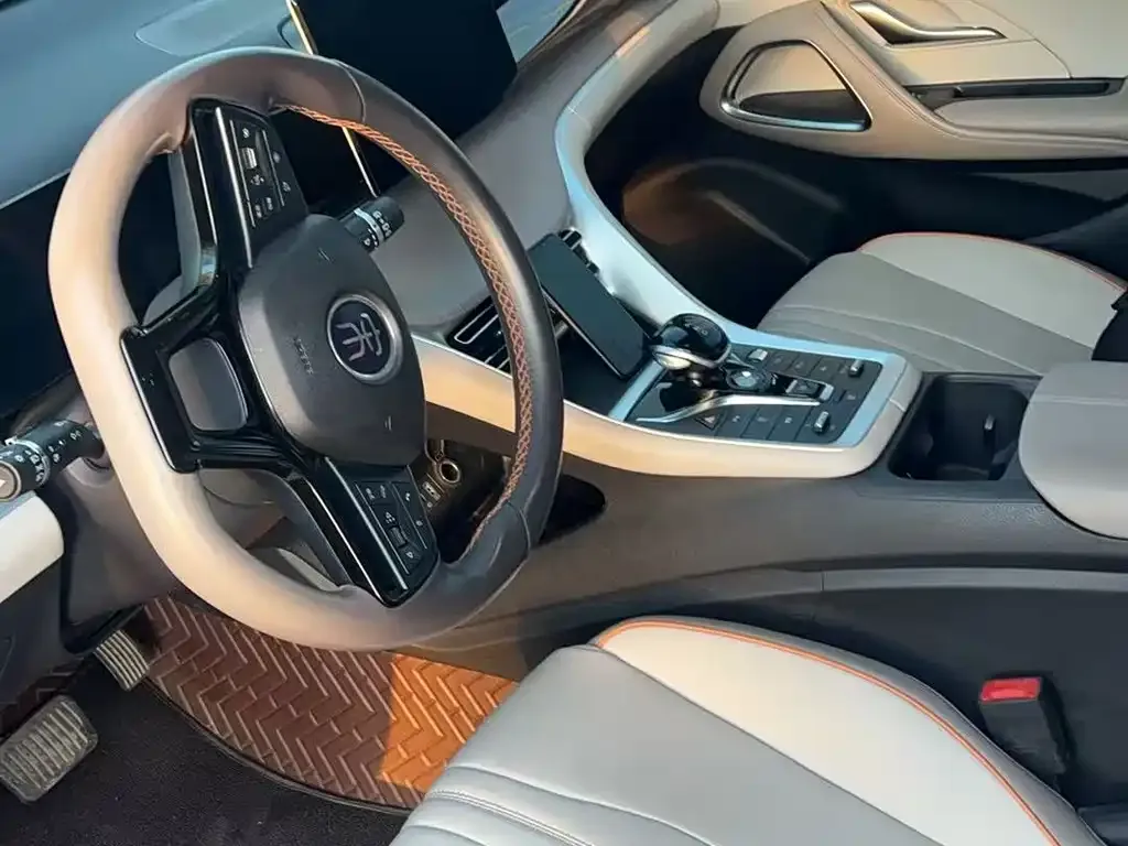 BYD Pro New Energy 2024 из CN, фото 5