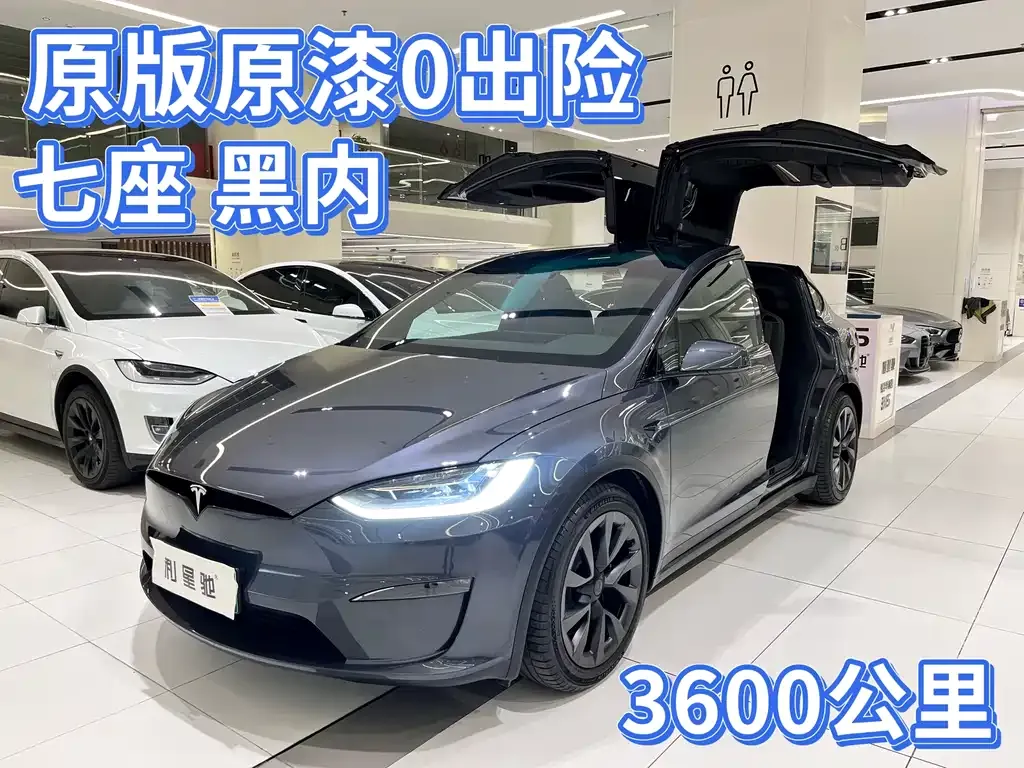Tesla Model X 2023 из CN, фото 1