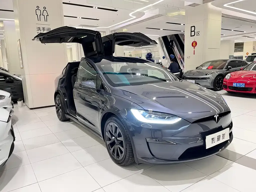 Tesla Model X 2023 из CN, фото 3