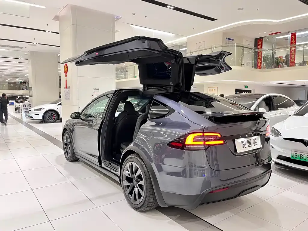 Tesla Model X 2023 из CN, фото 9