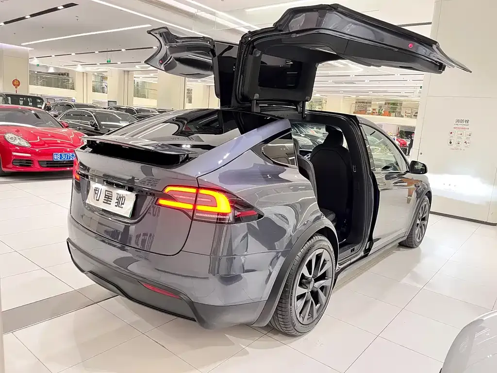 Tesla Model X 2023 из CN, фото 5