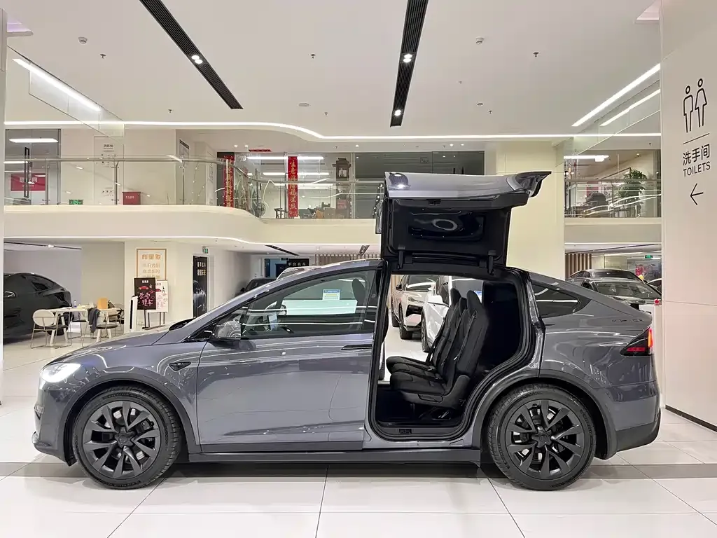 Tesla Model X 2023 из CN, фото 10