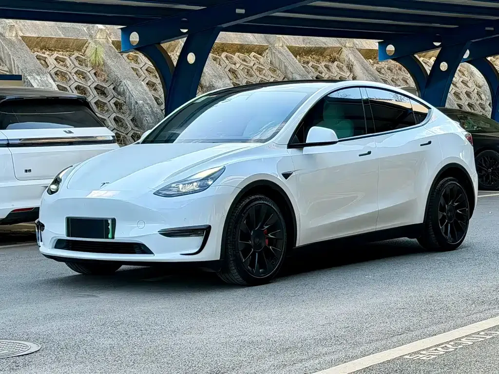 Tesla Model Y 2022 из CN, фото 1