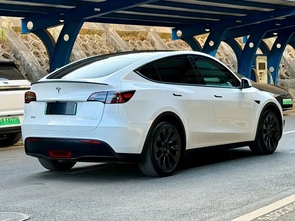 Tesla Model Y 2022 из CN, фото 4
