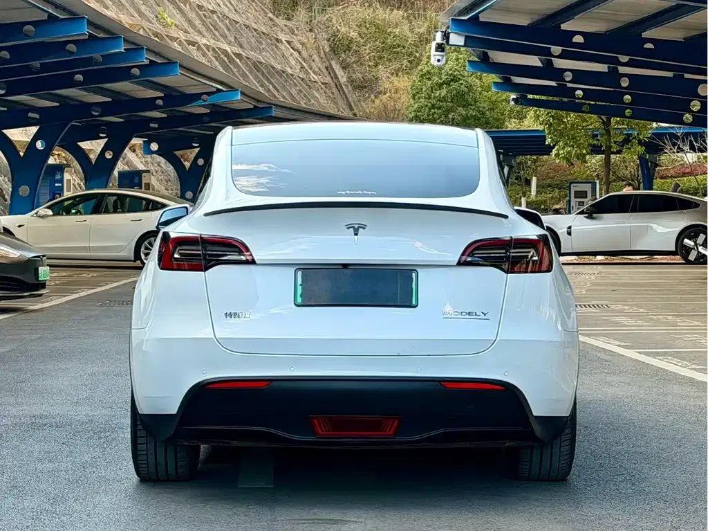 Tesla Model Y 2022 из CN, фото 8