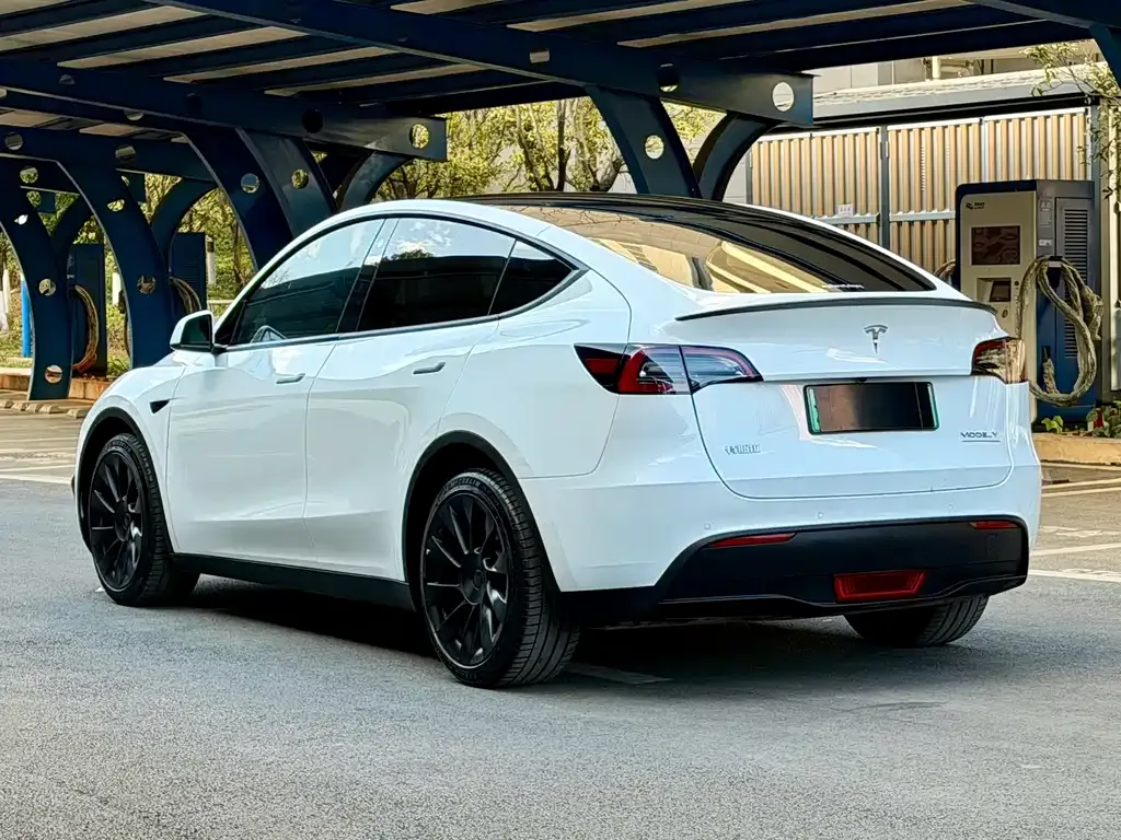 Tesla Model Y 2022 из CN, фото 7