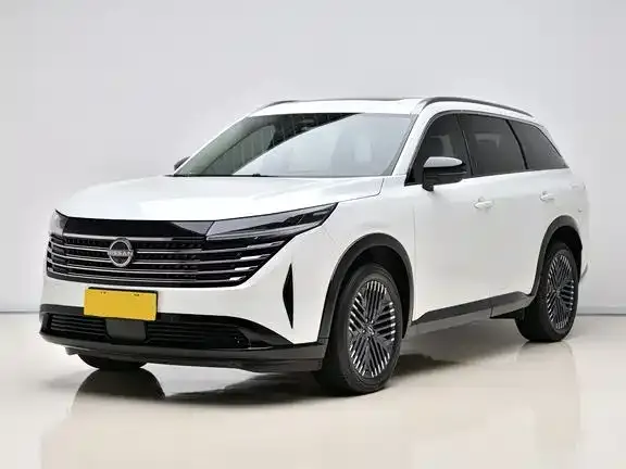 Nissan Teramont 2024 из CN, фото 1
