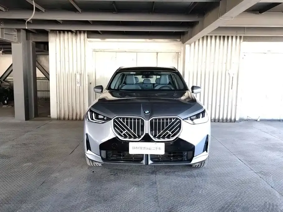 BMW X3 2025 из CN, фото 5