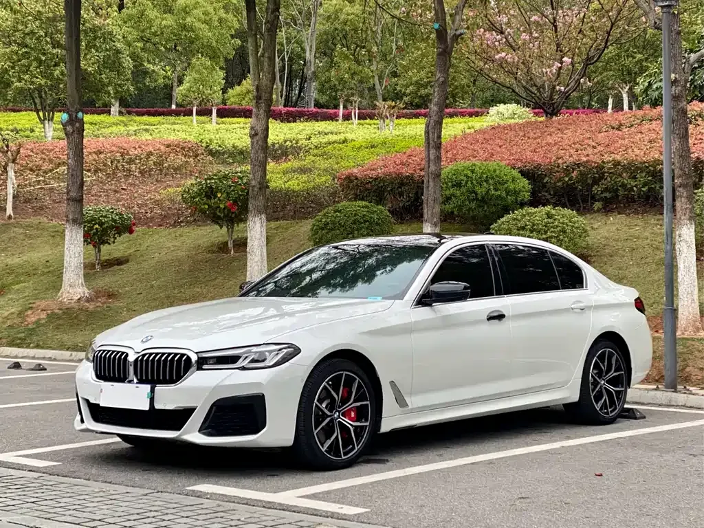 BMW 5 Series 2021 из CN, фото 1