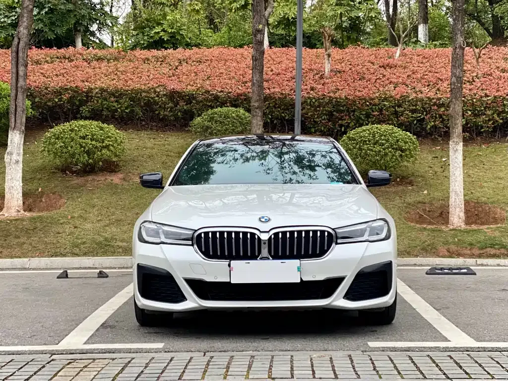 BMW 5 Series 2021 из CN, фото 5