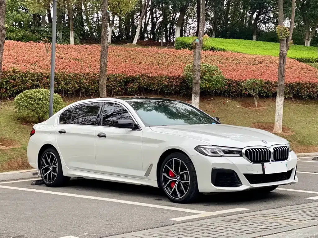 BMW 5 Series 2021 из CN, фото 9
