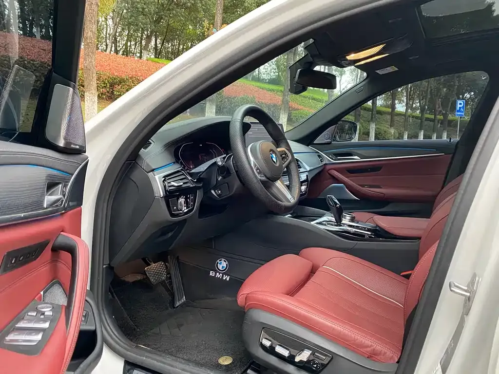 BMW 5 Series 2021 из CN, фото 7