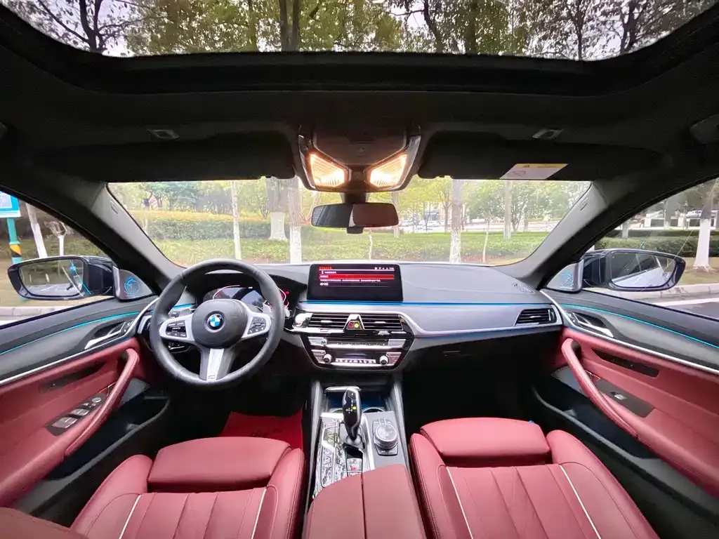 BMW 5 Series 2021 из CN, фото 10