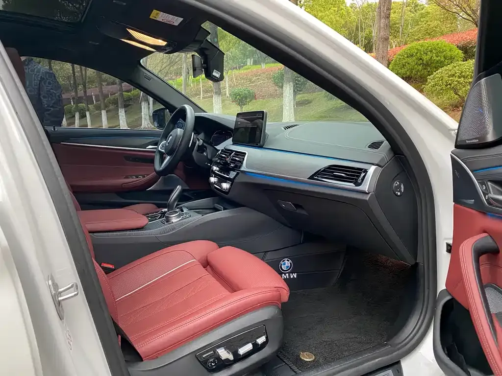 BMW 5 Series 2021 из CN, фото 6
