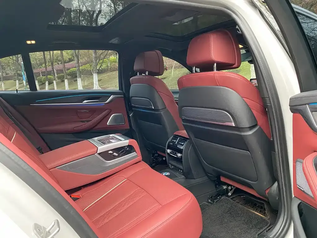 BMW 5 Series 2021 из CN, фото 4