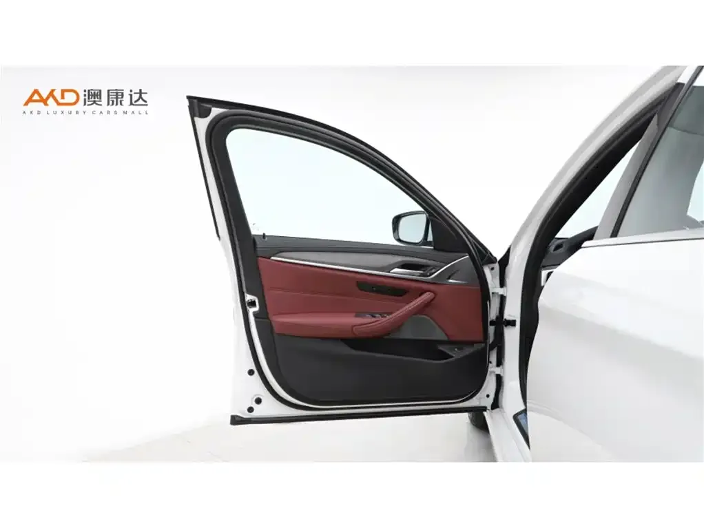 BMW 5 Series 2024 из CN, фото 10