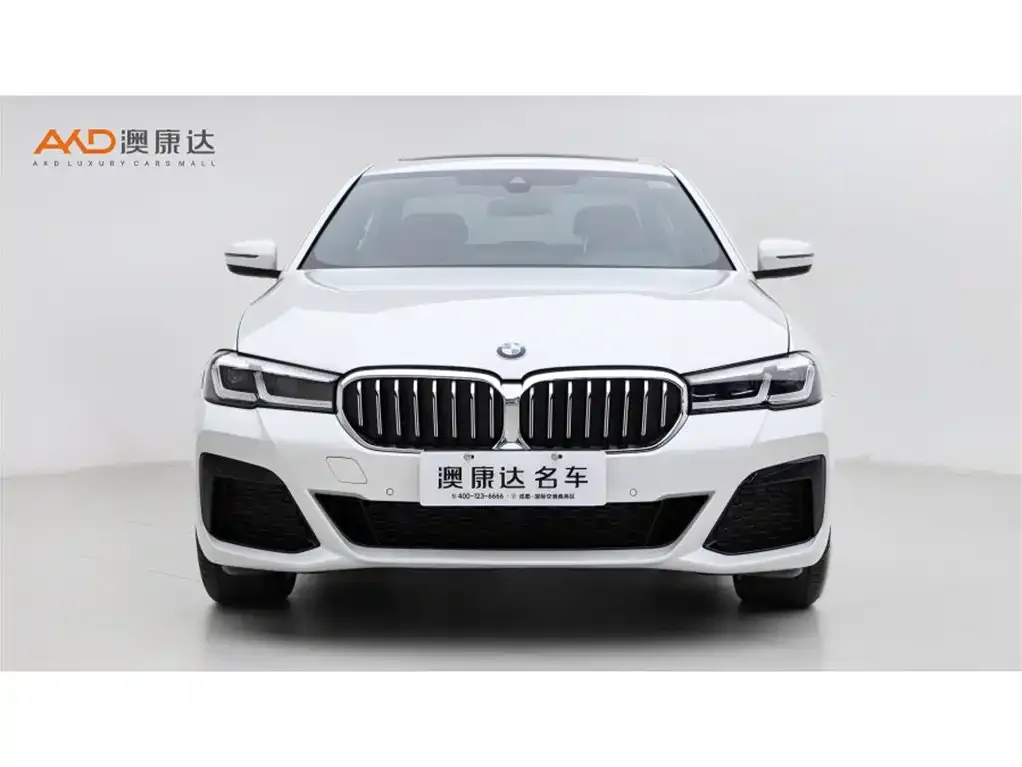 BMW 5 Series 2024 из CN, фото 3